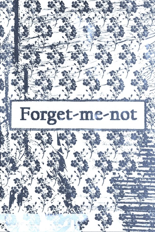 Forget-me-not