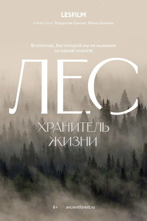 Лес. Хранитель жизни