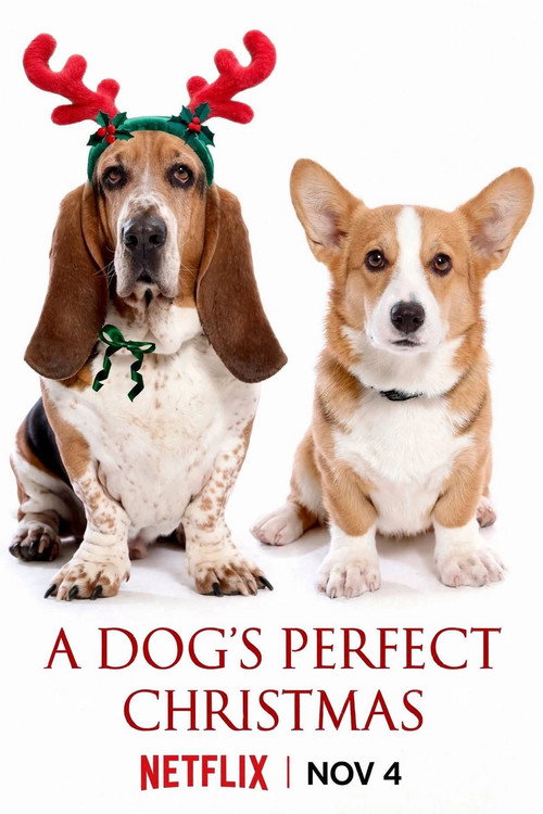 A Dog's Perfect Christmas