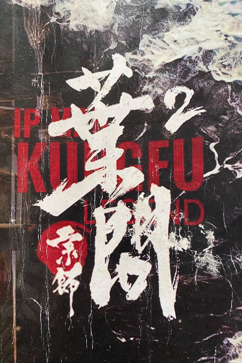 Ip Man Kung Fu Efsanesi