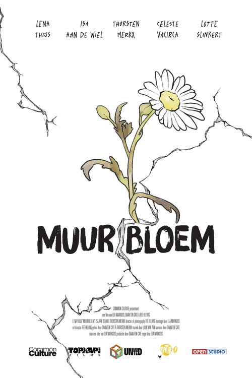 Muurbloem