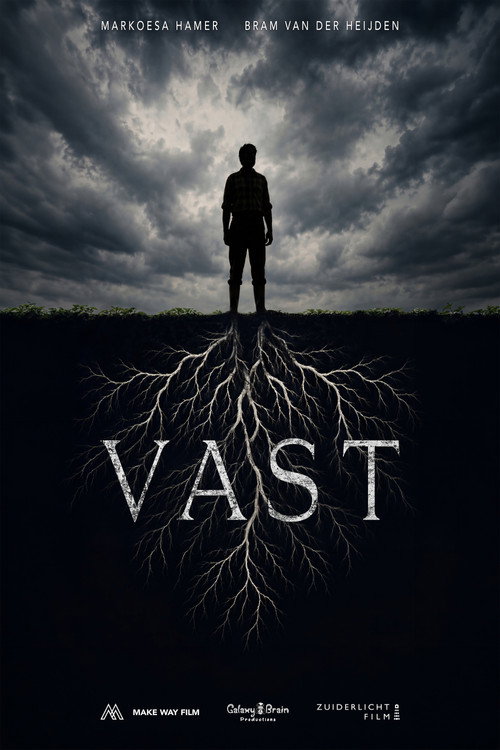 Vast