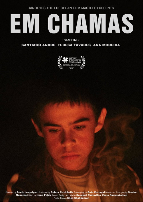 Em Chamas