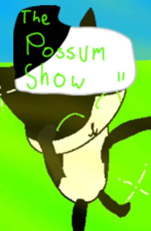 The Possum Show